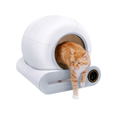 큰 잡동사니 박스로 고양이 배설용 점토 트레이 65L-76L 직사각형 모양을 청소하는 2 수준 본인